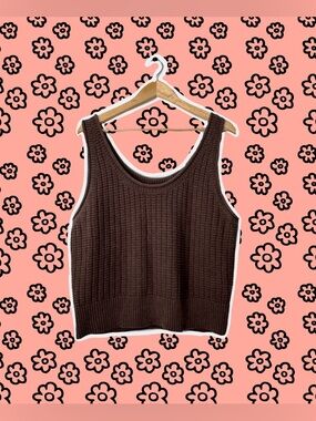Quince Brown Knit Tank Top - Women's Ribbed Sweater Vest